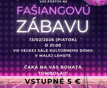 Aktuality / Fašiangová zábava 13.02.2026 o 21:00 - foto