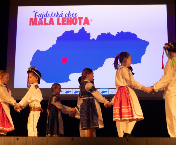 Aktuality / Gajdošské fašiangy 2026 sú za nami! - foto