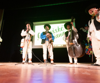 Aktuality / Gajdošské fašiangy 2026 sú za nami! - foto