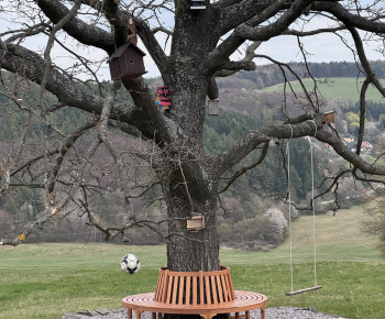 Aktuality / nový článok - foto