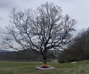 Aktuality / nový článok - foto